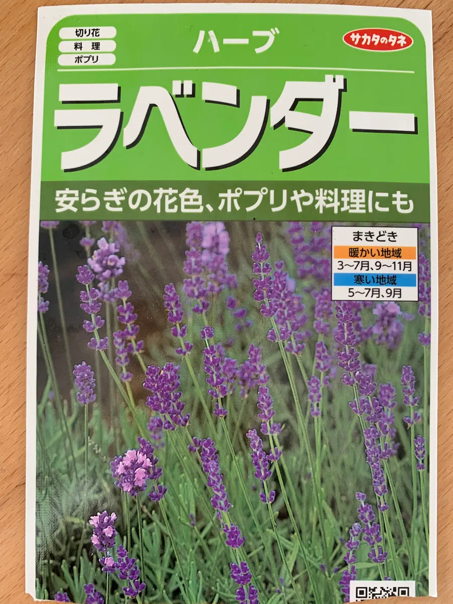 ラベンダー 種から挑戦！2020年〜｜そだレポ（栽培レポート