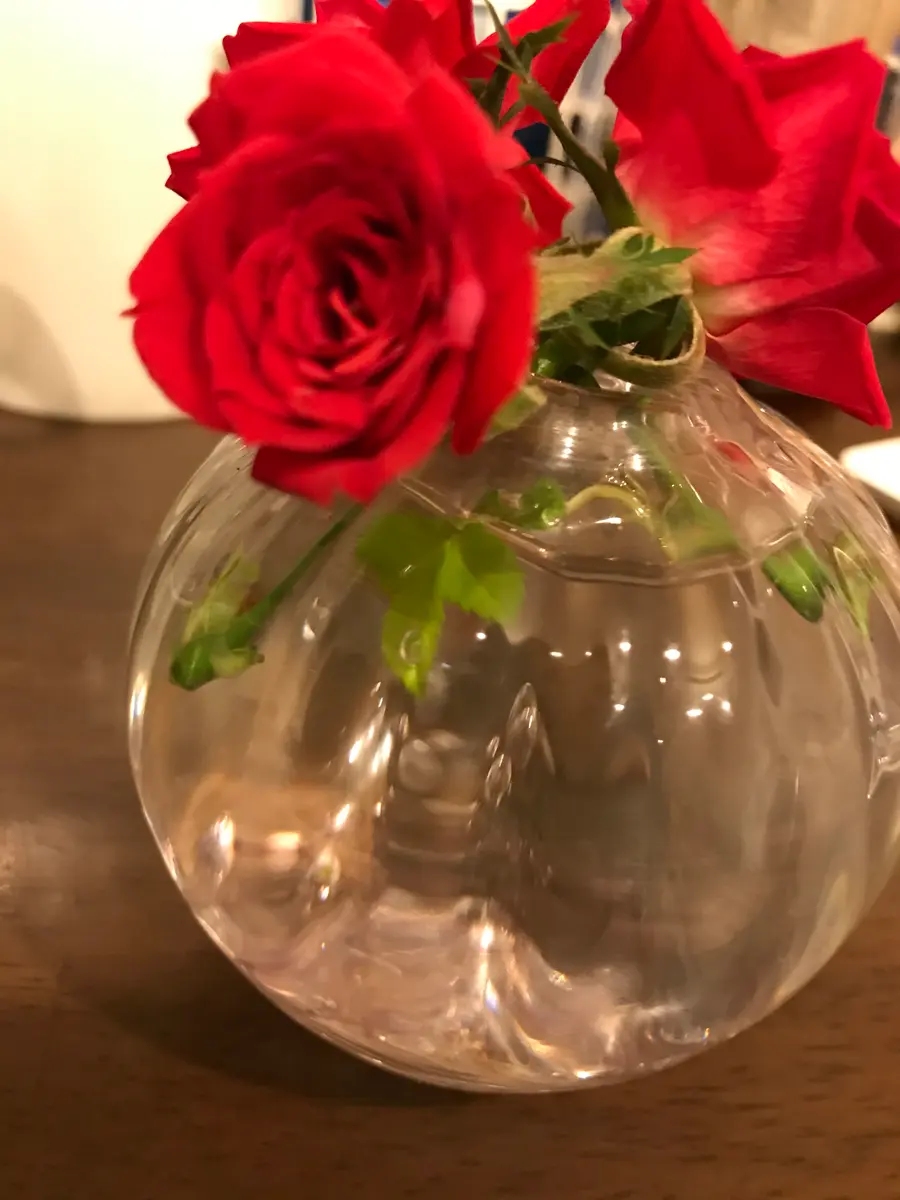 はじめてのミニ薔薇成長記録①〜30P｜そだレポ（栽培レポート