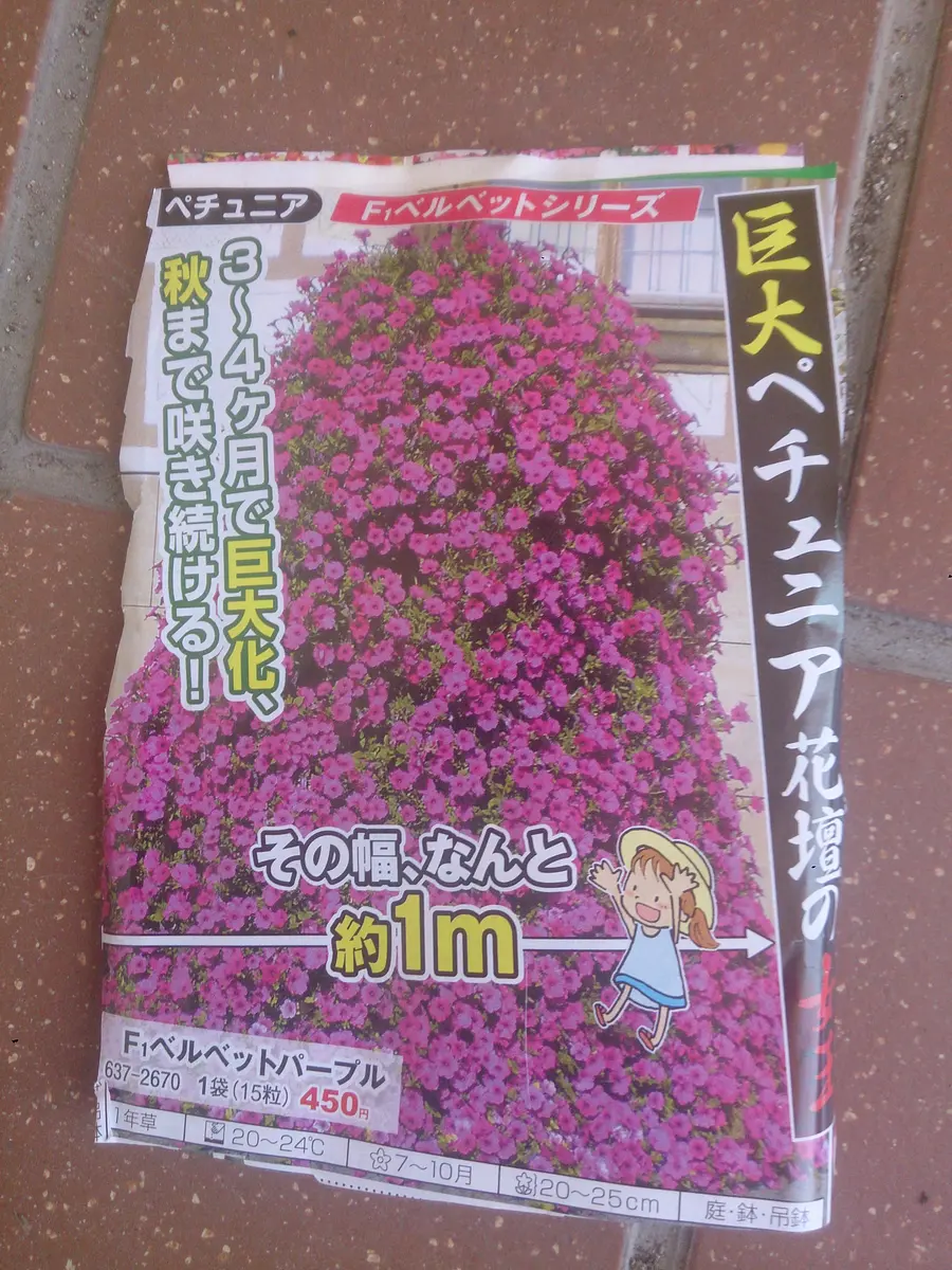 超巨大ペチュニア｜そだレポ（栽培レポート）by卓球きちがい｜みんなの