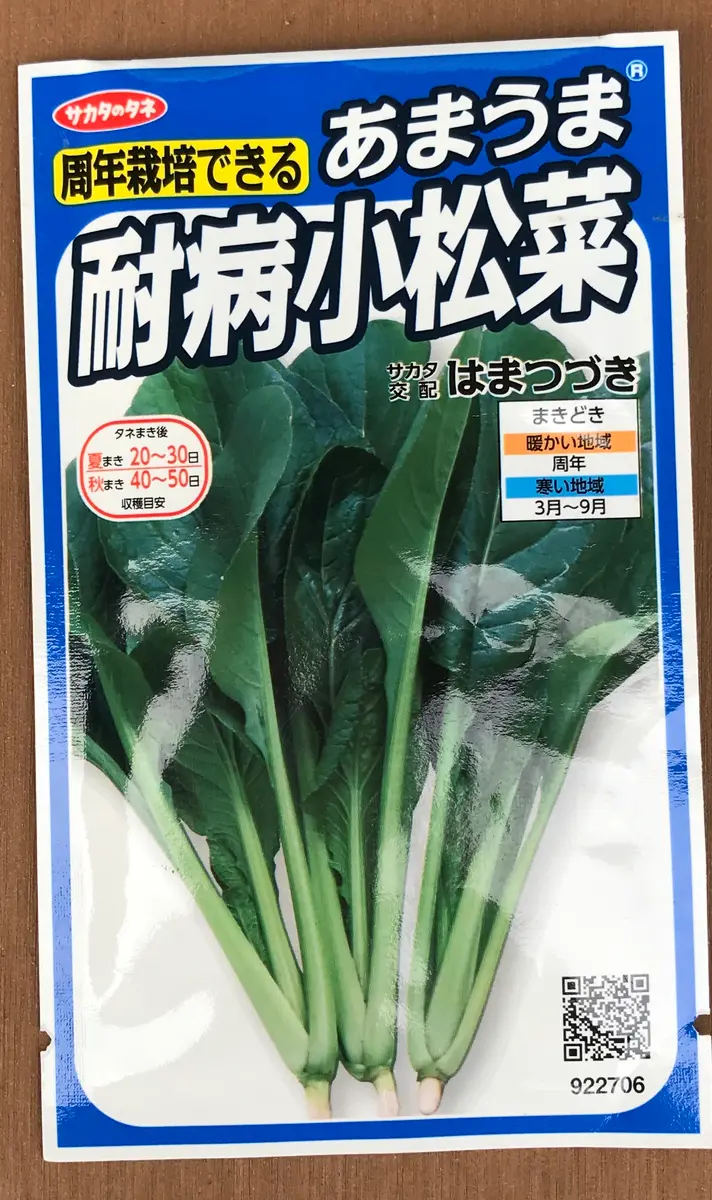 小松菜☆耐病 はまつづき｜そだレポ（栽培レポート）byまサプリ