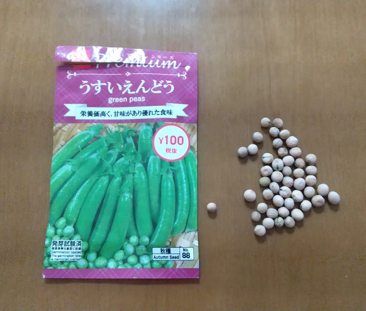 新規購入 ✔️ダイソーうすいえんどうを育てる｜そだレポ（栽培レポート 野菜