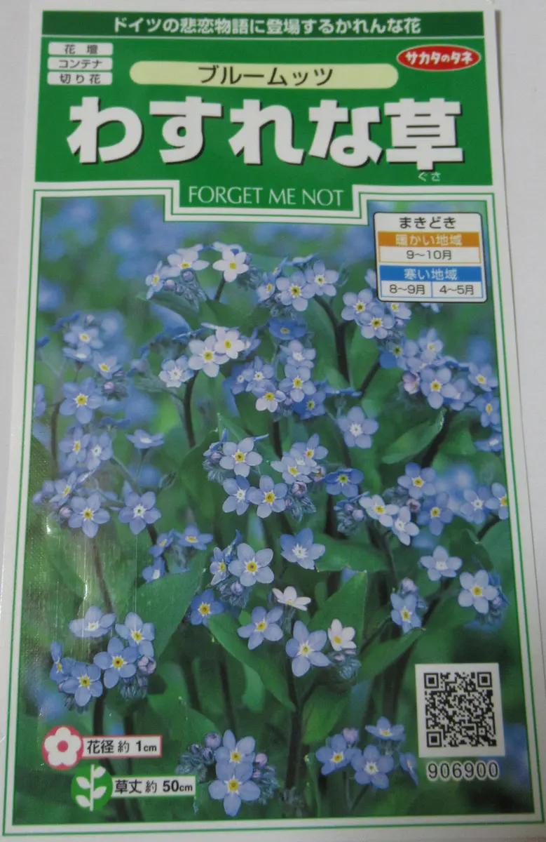忘れな草の種