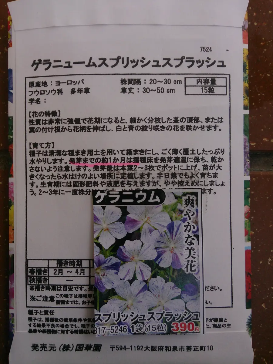 種からゲラニュームの栽培に挑戦｜そだレポ（栽培レポート）by卓球