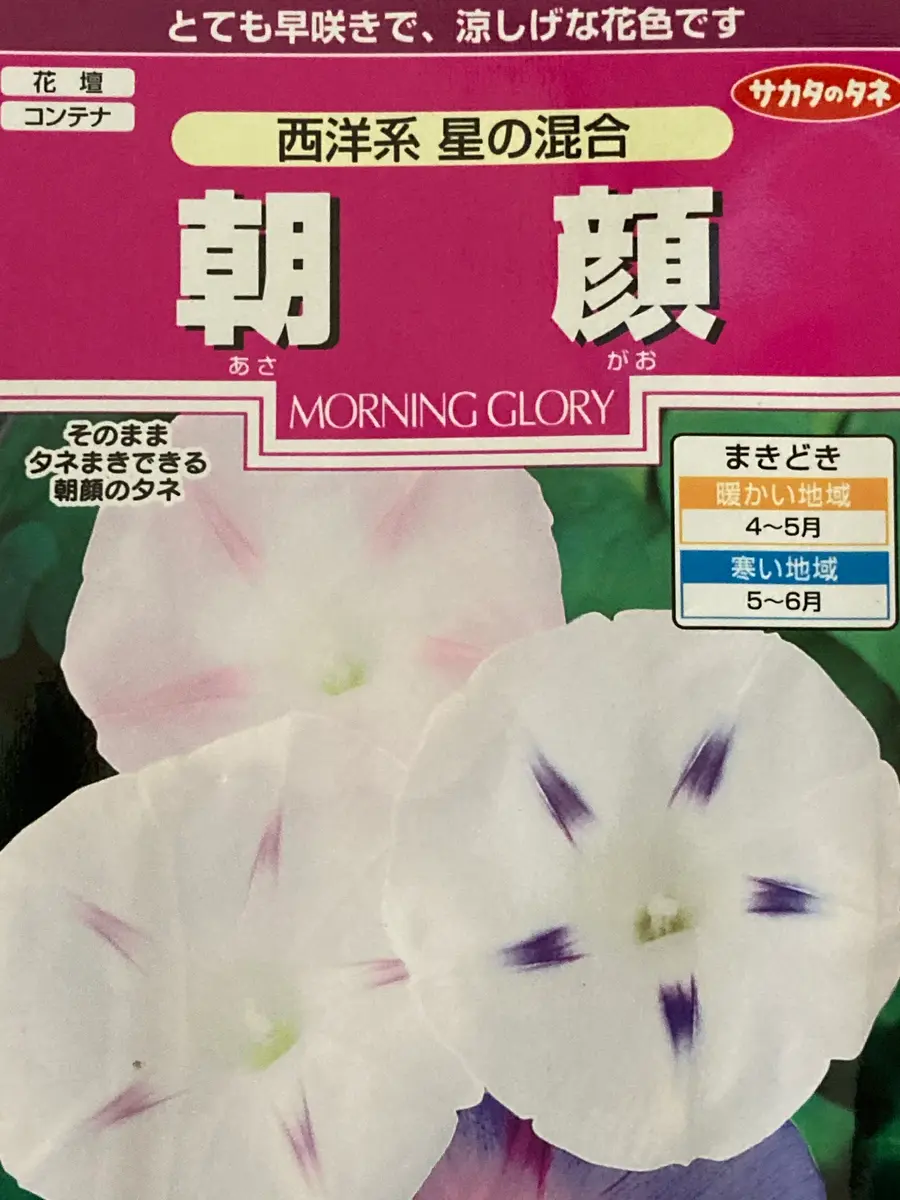 朝顔の種 3種類ミックス 朝顔の種 3種類ミックス 朝顔の種 3種類ミックス 花