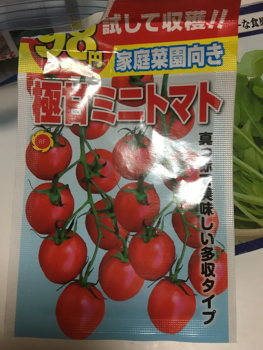 プチトマト｜そだレポ（栽培レポート）bymisoup｜みんなの趣味の園芸