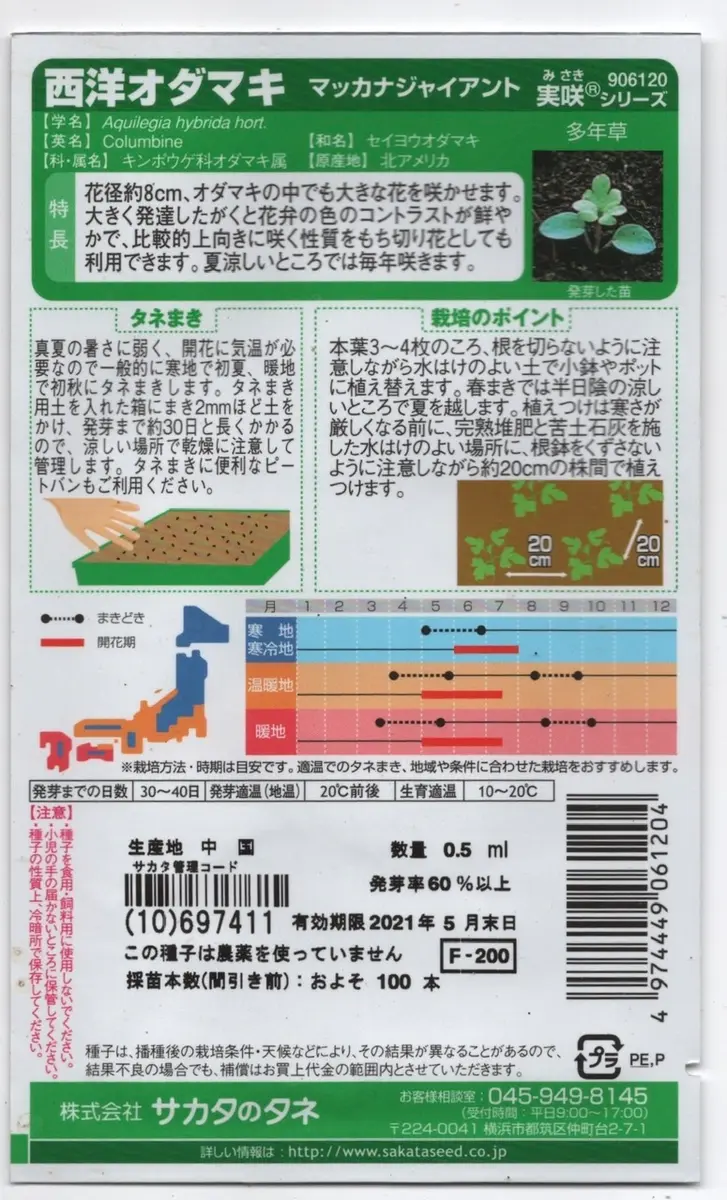 西洋オダマキ　ミニミニ苗　こちらで選んで順次発送 西洋オダマキ ミニミニ苗 こちらで選んで順次発送 21いつ咲くの