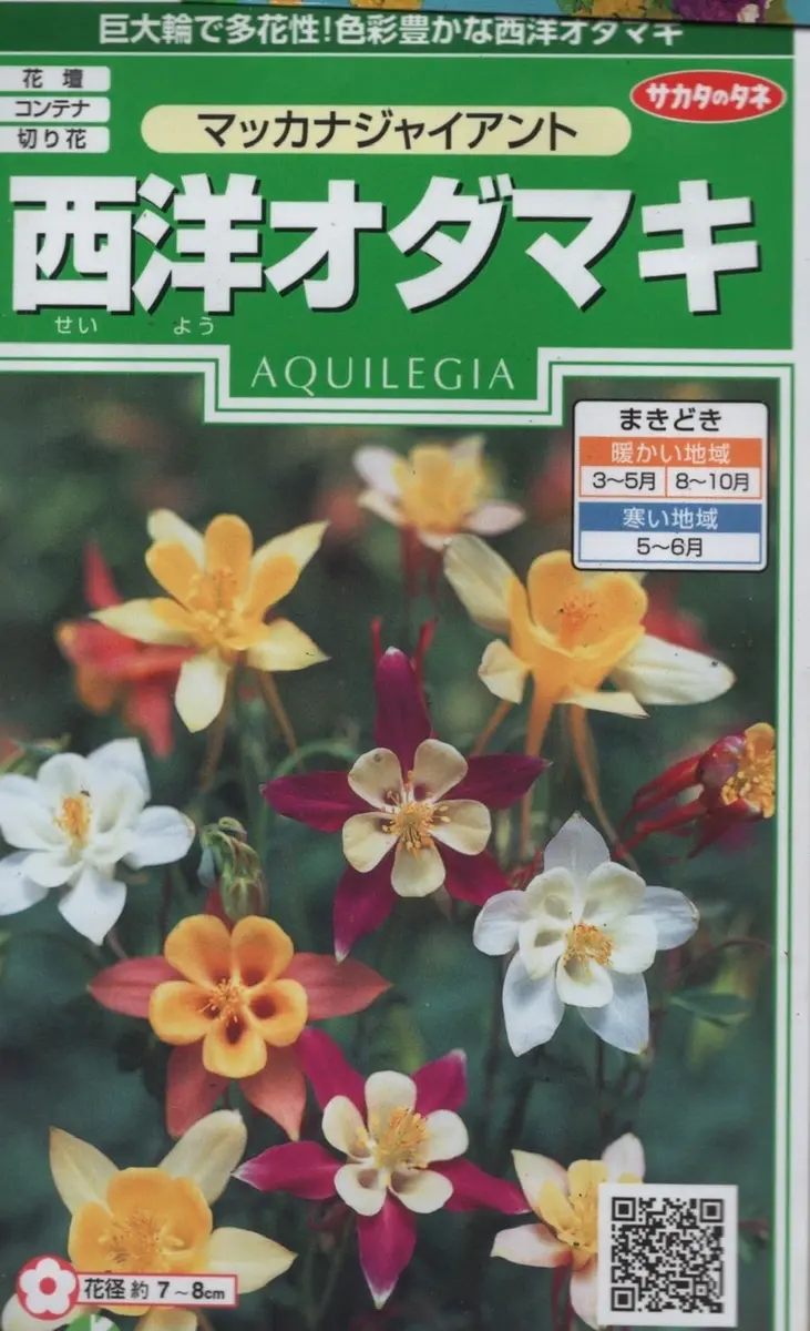 21いつ咲くの？オダマキ｜そだレポ（栽培レポート）byのぶかな