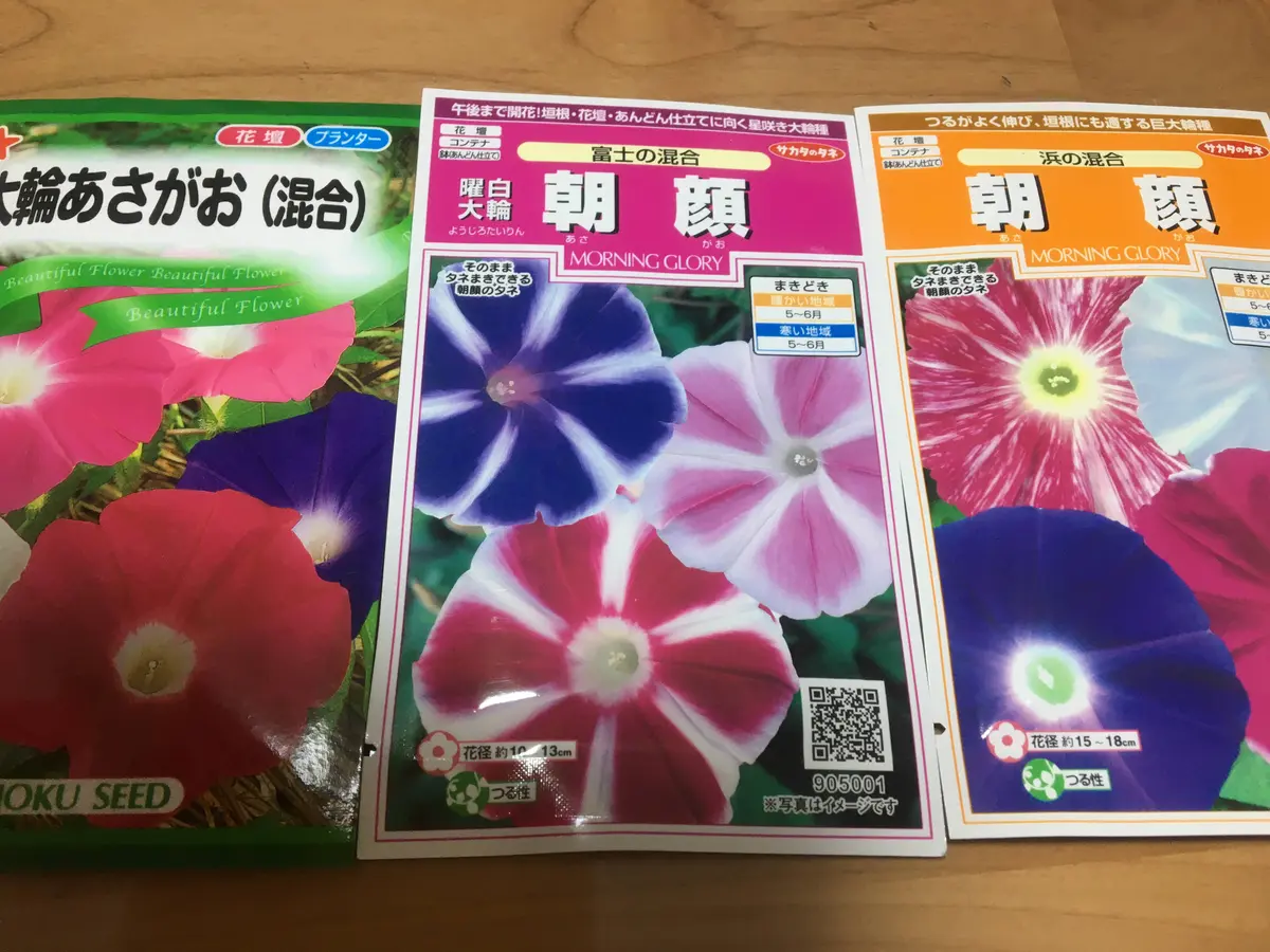 あさがお　とんぼ　額 とんぼ 葉型とんぼ(10mmネジ付) | 額縁専門店マルニラボ