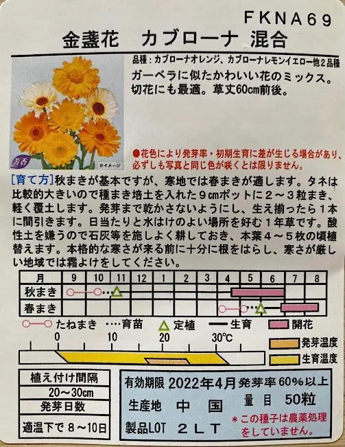 カレンデュラ（キンセンカ）を種から育てる♪｜そだレポ（栽培レポート