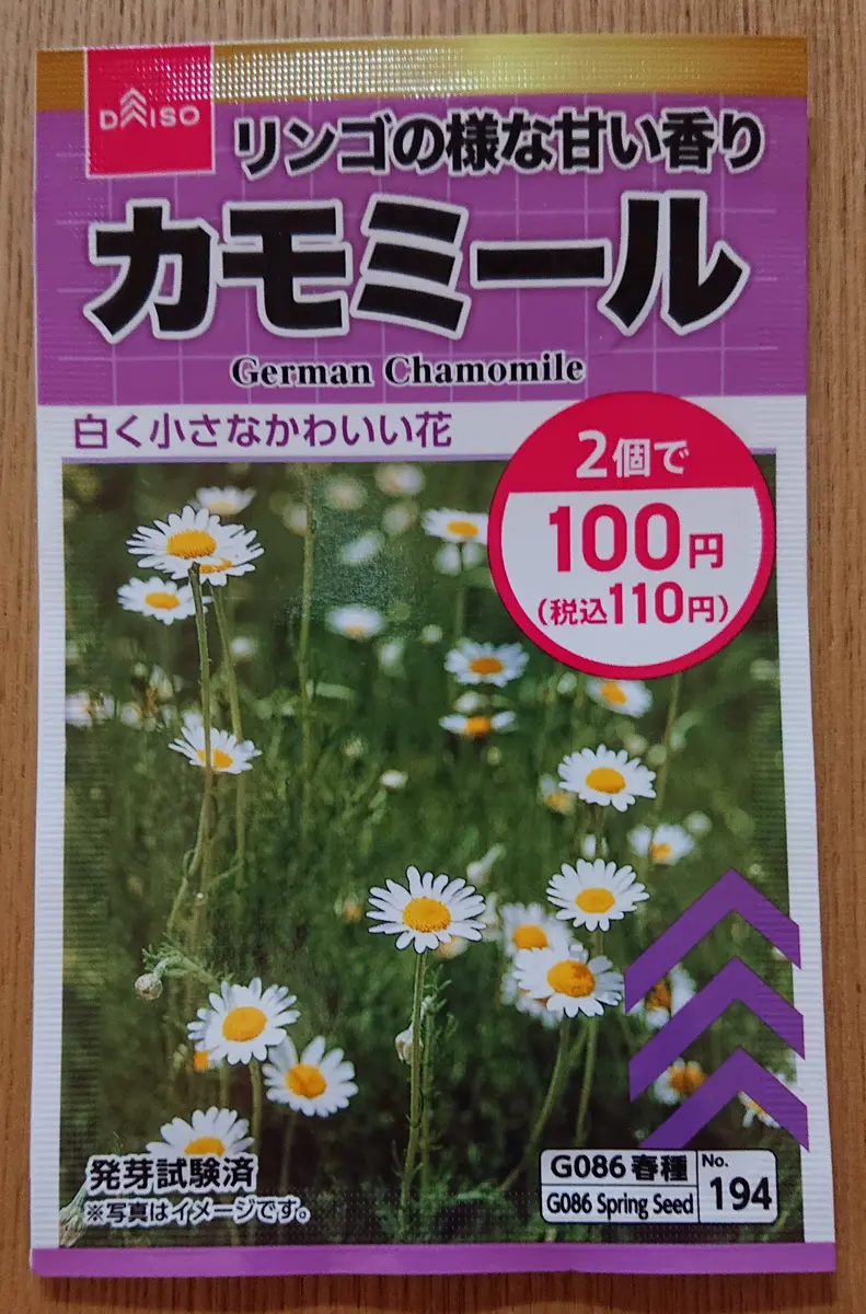 カモミールを種から✨｜そだレポ（栽培レポート）by*sayu*｜みんなの