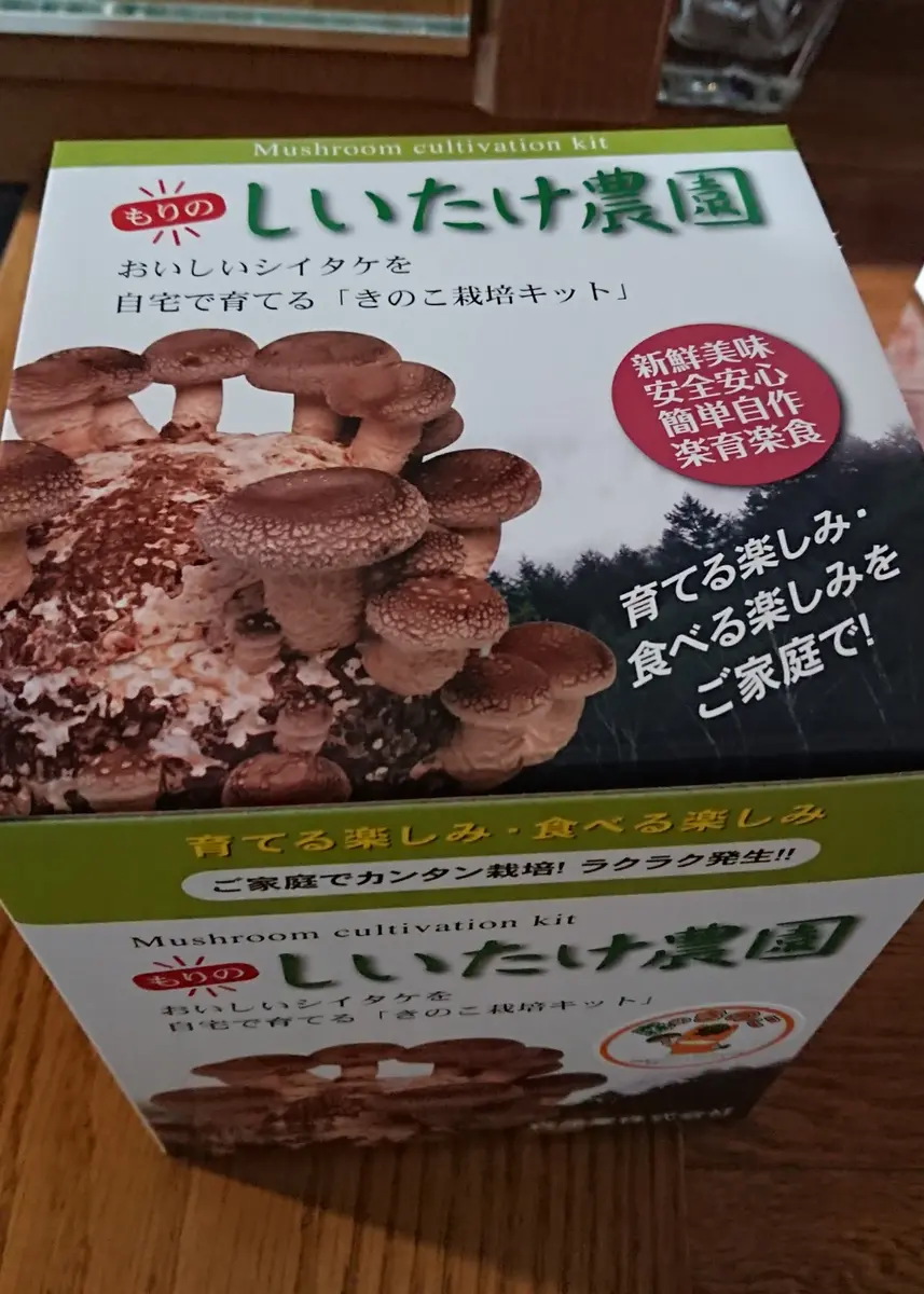 室内でシイタケ栽培｜そだレポ（栽培レポート）byべっしー