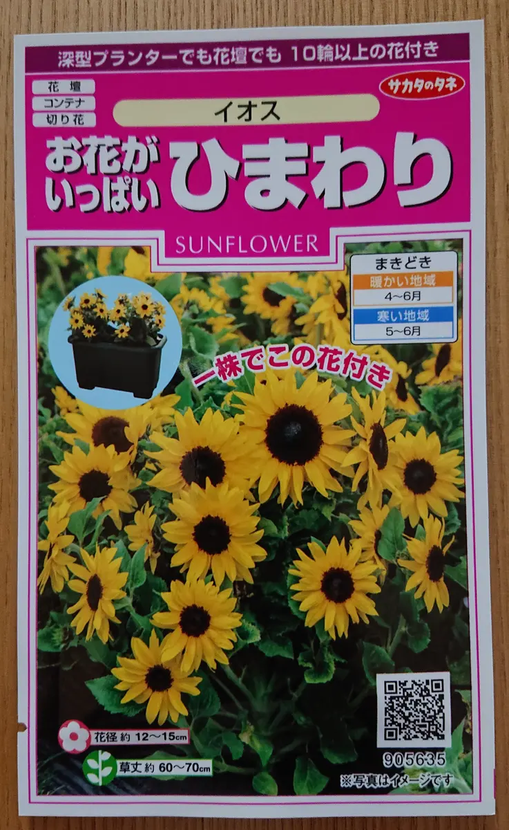 ひまわり☆ プロフィールお読みください10個 ひまわり☆ プロフィールお読みください10個 ひまわり？🌻🐇 on X: