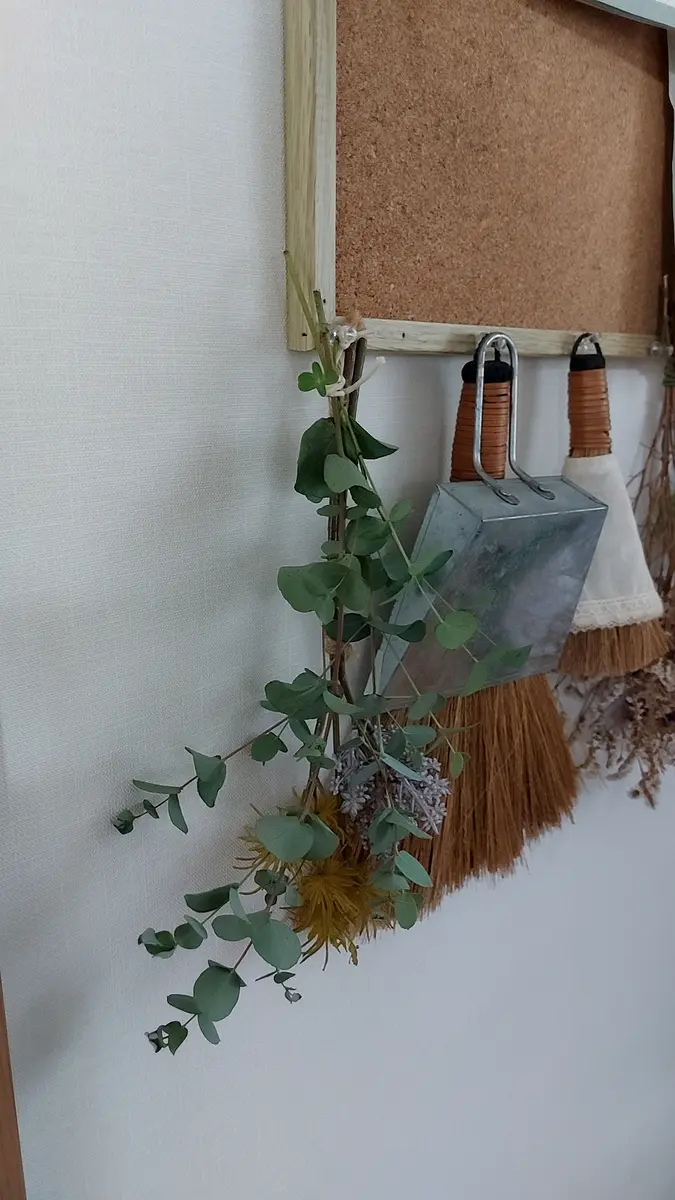 ユーカリ(ドライフラワーにして飾りたい！)｜そだレポ（栽培レポート