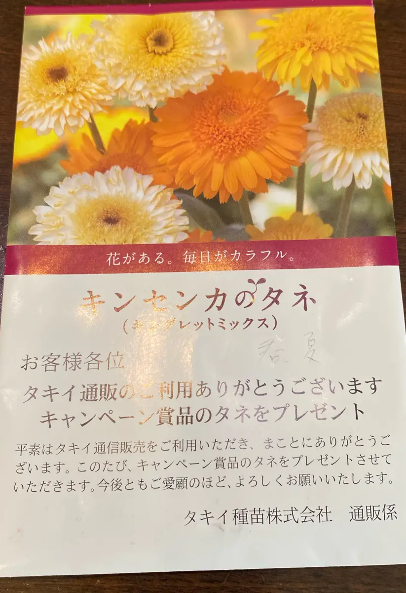 日本タケ科植物総目録(鈴木貞雄 著) / 古本、中古本、古書籍の