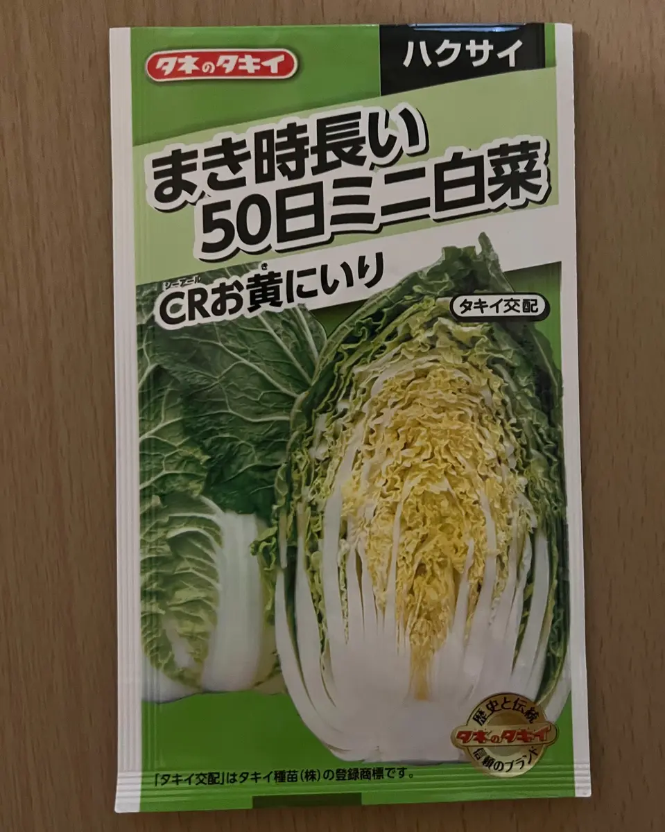 リベンジ2022☆種から白菜の栽培に挑戦！｜そだレポ（栽培