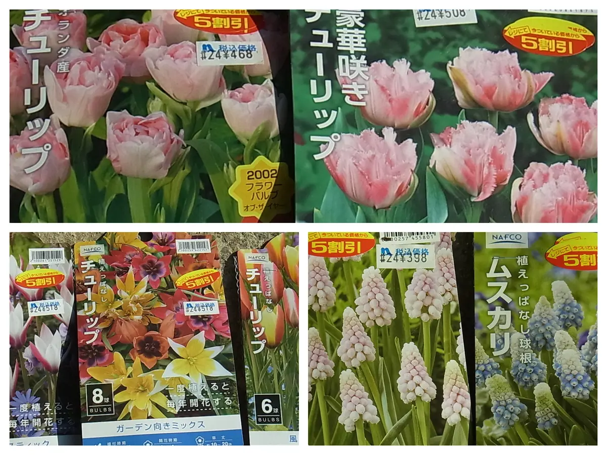 買い保障できる チューリップ 目次 トップス