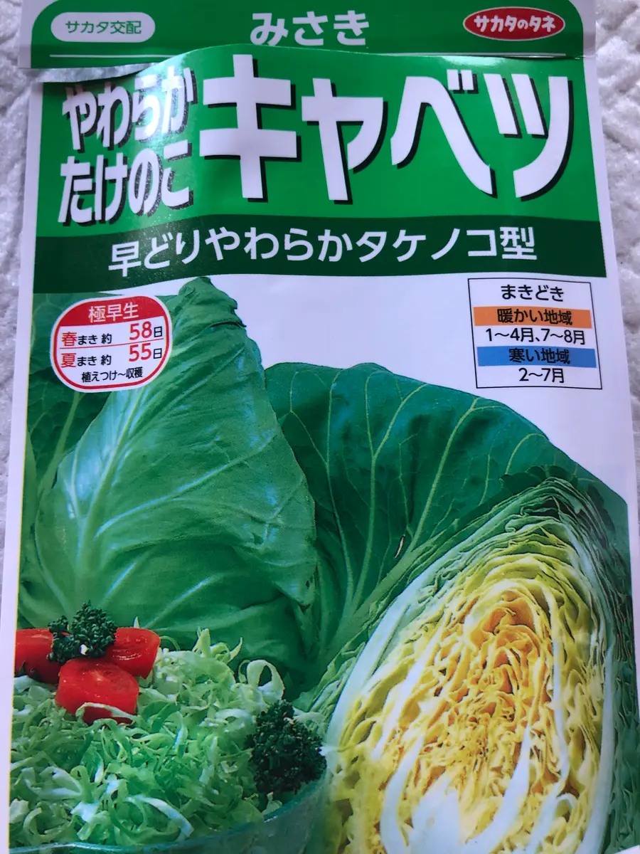 キャベツさま専用 【公式通販】