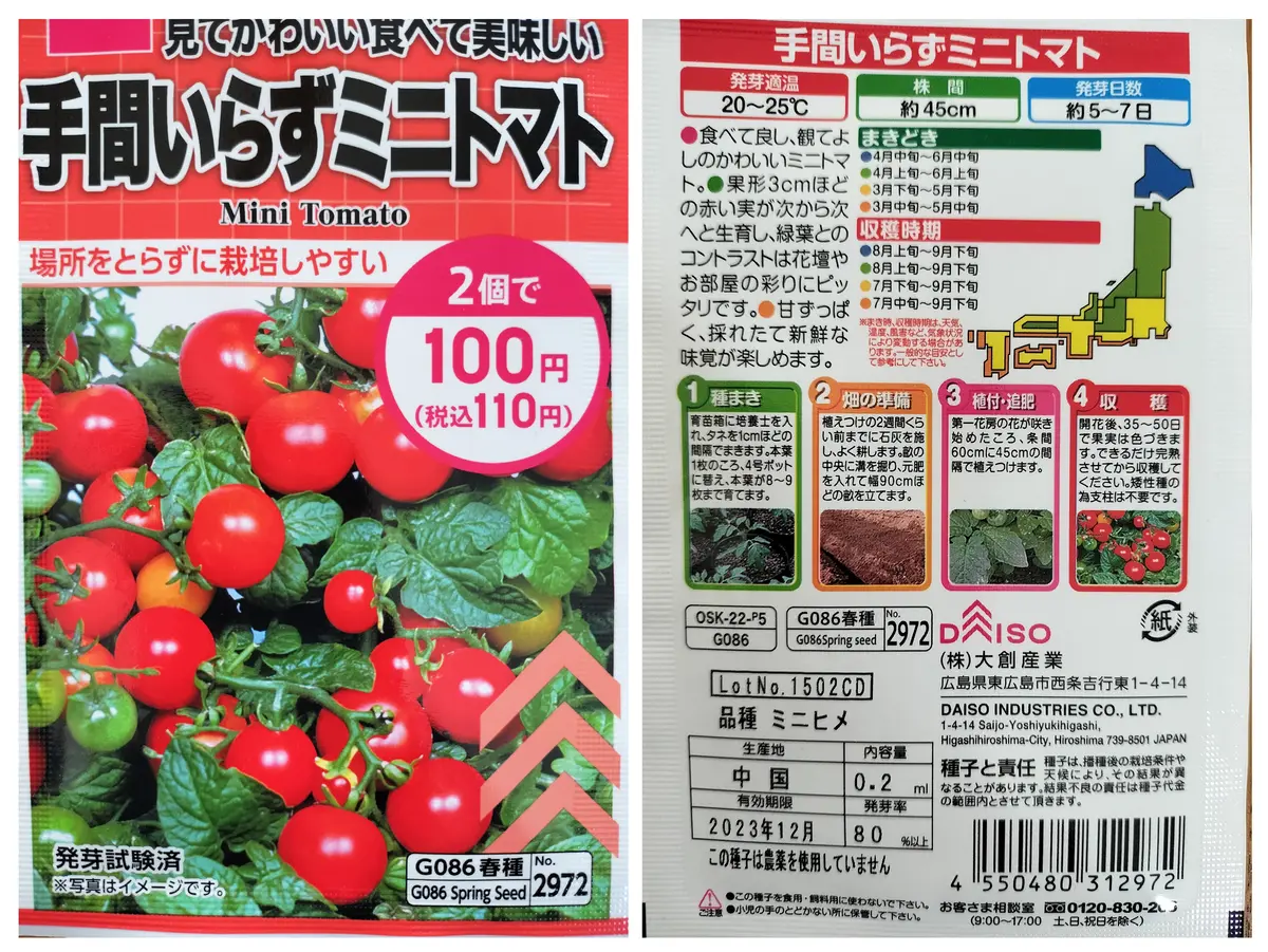 百均（ダイソー）の手間いらずミニトマトに挑戦！｜そだレポ（栽培