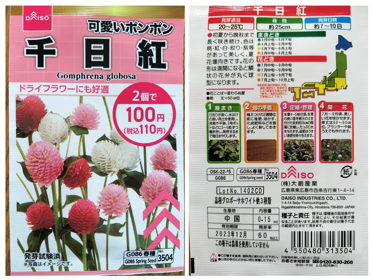 ✳️2023年❗️ドライガーデン⑤種⑤株SET❗️