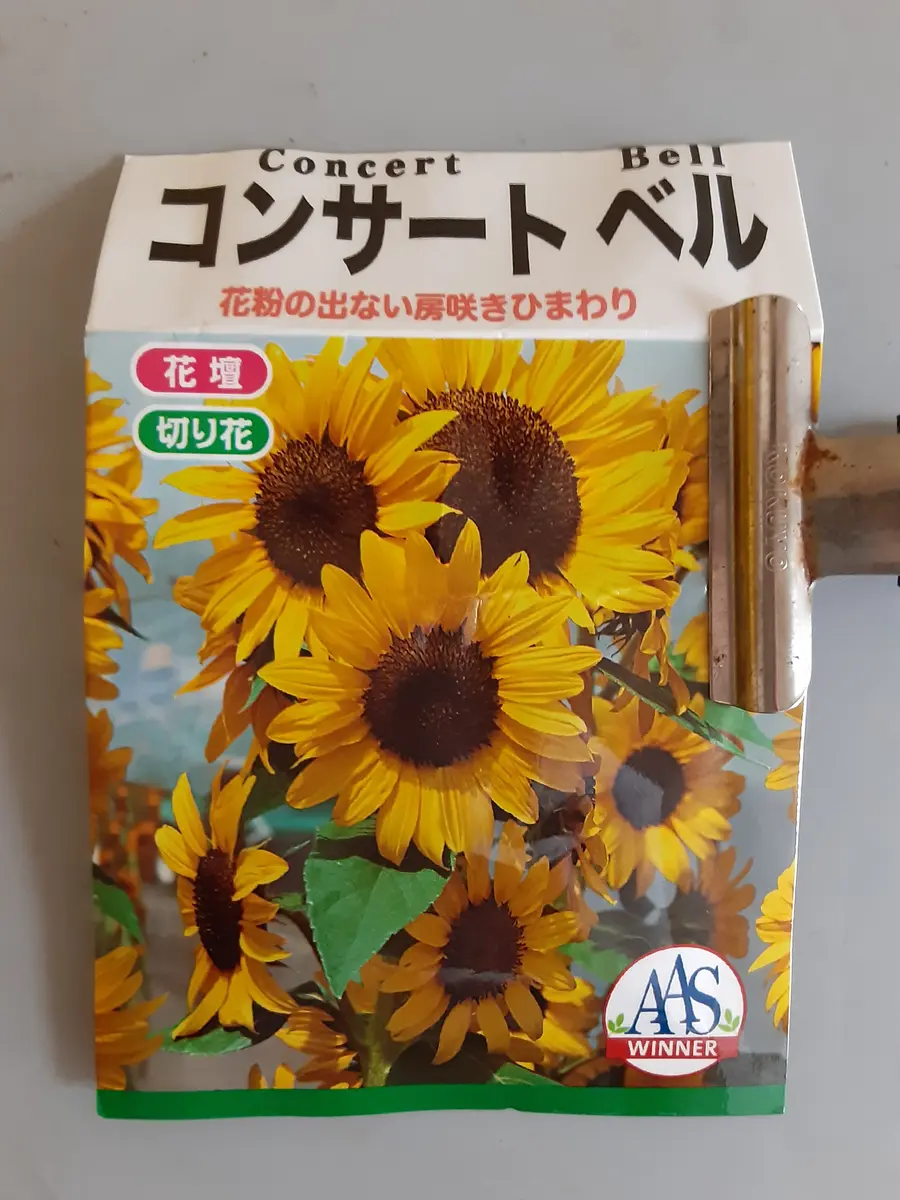 コンサートベルを種から育てます！！｜そだレポ（栽培レポート）by