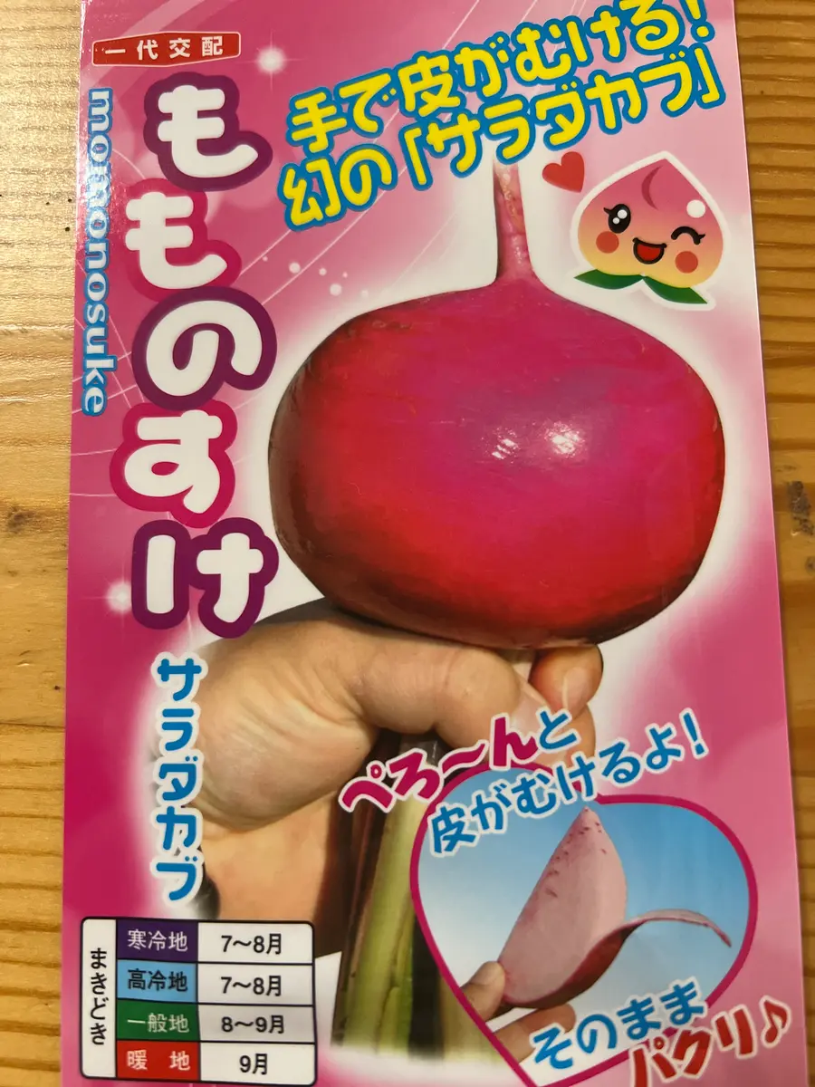 ピンクのかぶ、もものすけ｜そだレポ（栽培レポート）byはこね