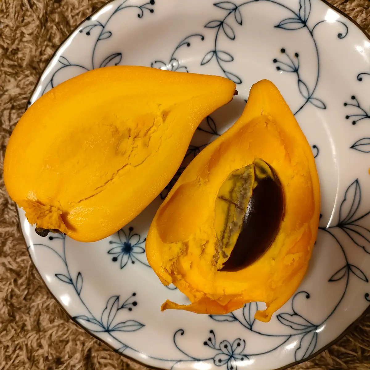 実生カニステル｜そだレポ（栽培レポート）byにょろ｜みんなの趣味の園芸