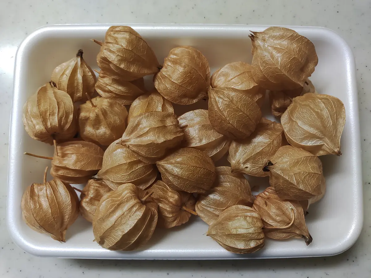 専用出品です　食用ほおずき　トマチロ1kg +オレンジチェリー小粒2kg です 食用ほおずき トマチロ1kg オレンジチェリー小粒2kg目立った傷や