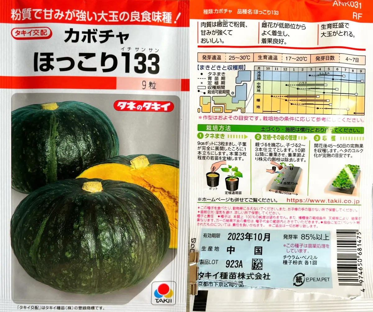 ほっこり133「かぼちゃを冬至に向けて栽培🍁」-そだレポ｜みんなの趣味