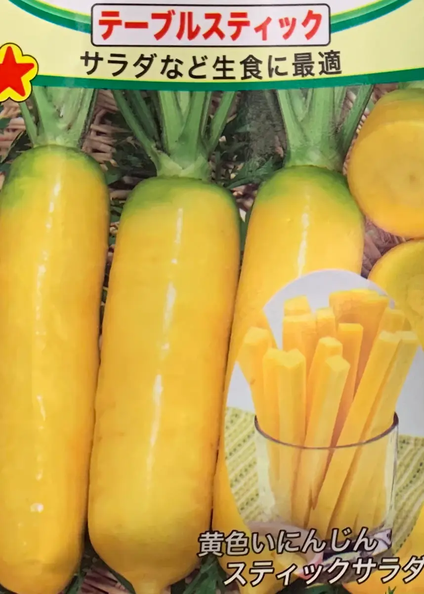 日本最大の ニンジンを鉢植えで(完)｜そだレポ（栽培レポート）byカヌレ 野菜