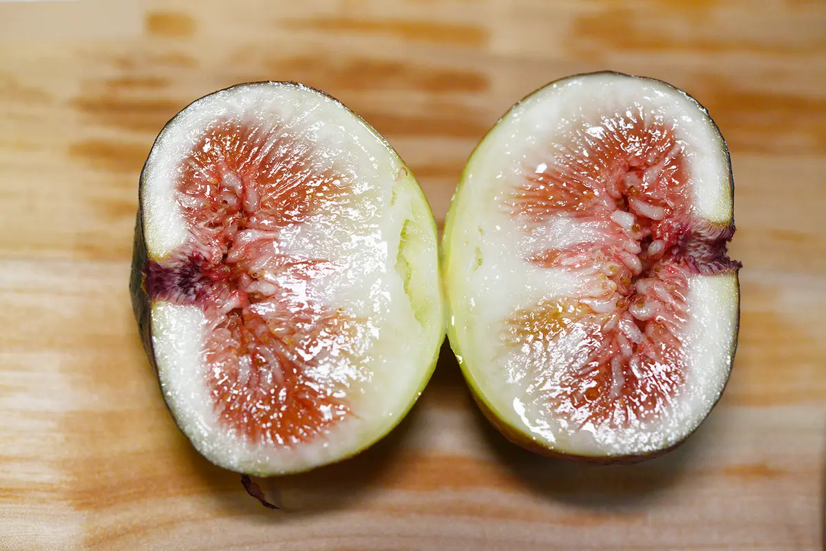 食いしん坊のイチジク栽培Part4｜そだレポ（栽培レポート）by鉢植え100