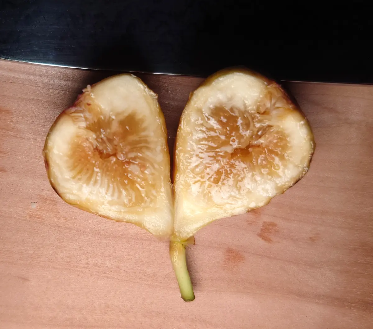 イチジク ベンズゴールデンリバーサイド 苗 苗木 穂木 挿木 激レア