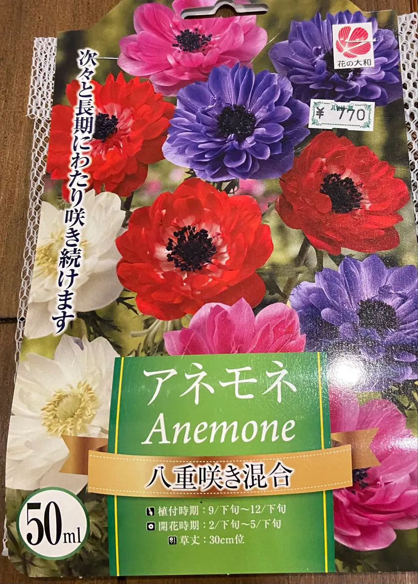 アネモネ様確認ページ ラベル「青森県 アネモネ球根を植える」-そだレポ｜みんなの趣味の園芸