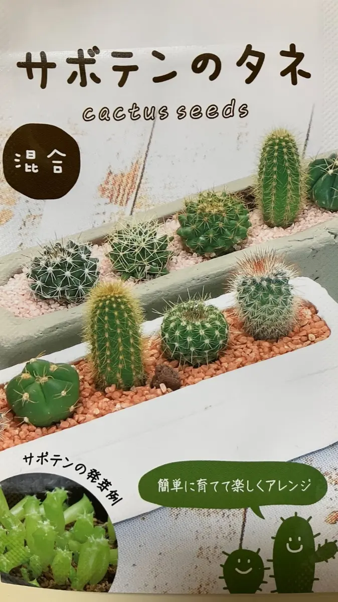 初めて迎えるサボテンは種から育ててみたい🌵｜そだレポ（栽培レポート