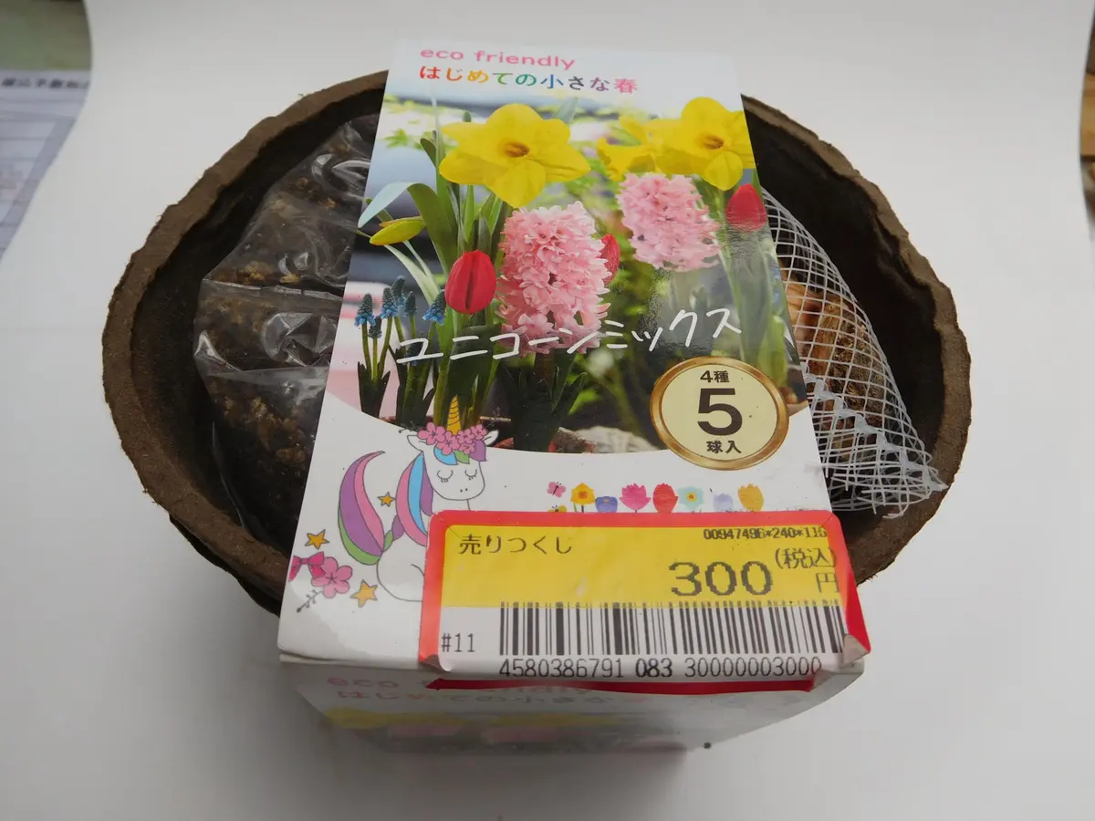 お得な球根セット｜そだレポ（栽培レポート）byひょこりんそう