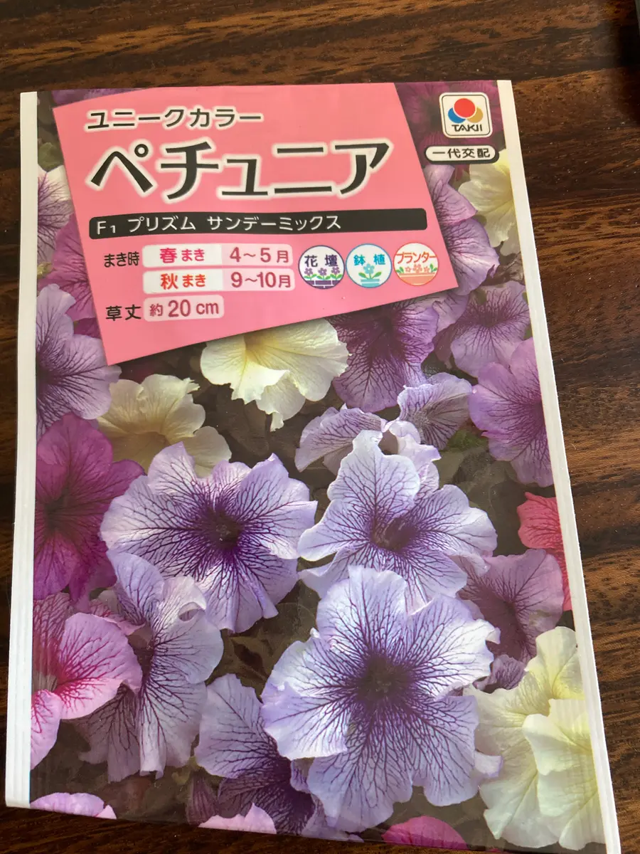 野生ベゴニアの栽培と鑑賞（中国語・英語） ベゴニア12カ月―花と葉を楽しむ魅力品種113と育て方 (My green
