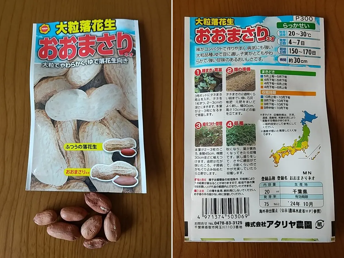 初めての落花生｜そだレポ（栽培レポート）byかえるさん｜みんなの趣味