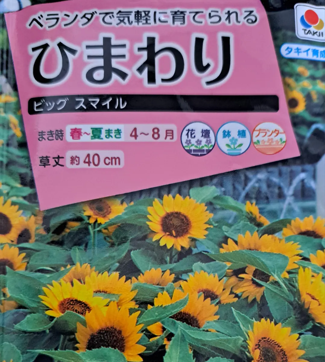 ❤️ひまわり様 リクエスト 3点 まとめ商品 ひまわり様 リクエスト 2点