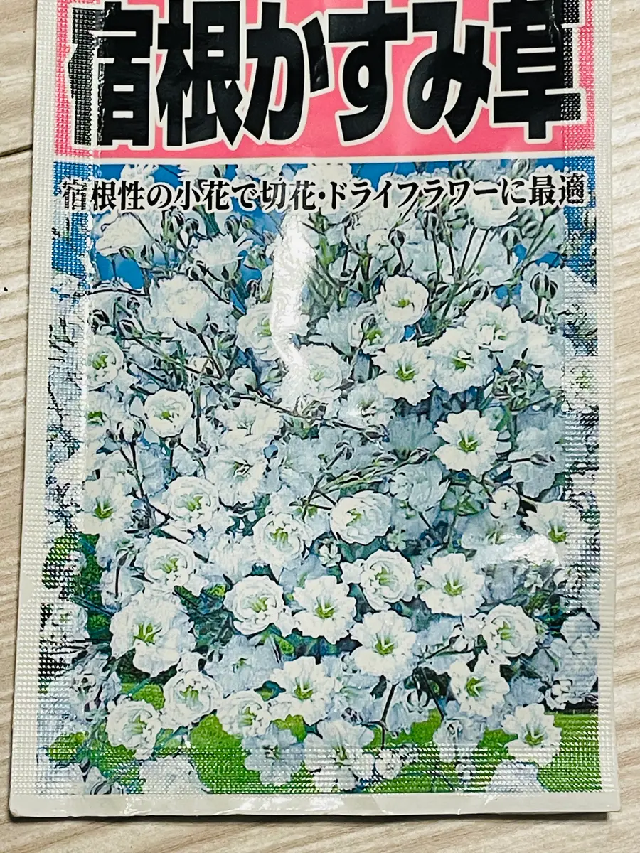 かすみ草さま　白のみ生地終了 かすみ草さま 白のみ生地終了