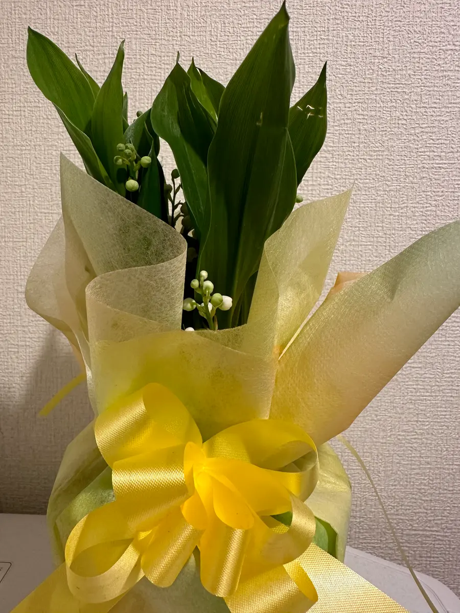 ピンク鈴蘭&元気の花 （花四季彩・・・スズランのような花
