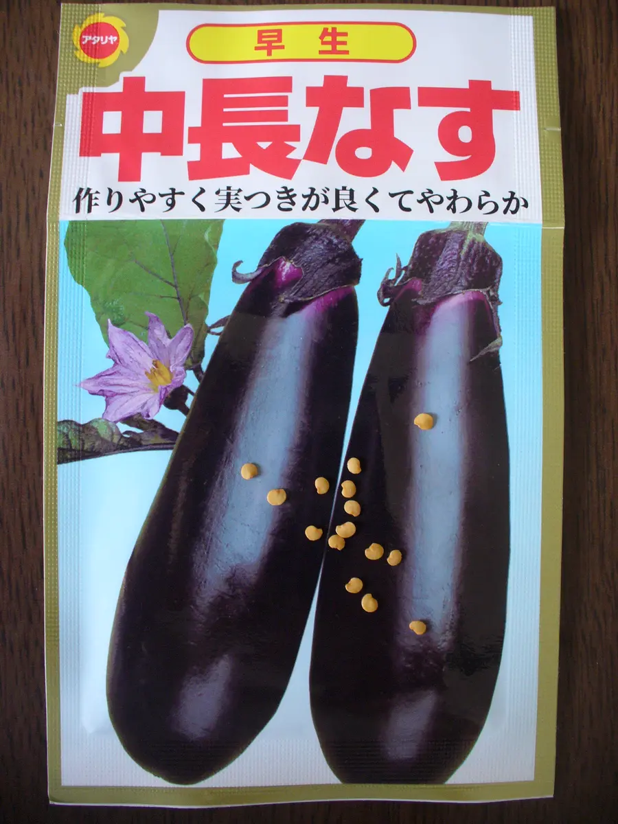 初めてのナス☆秋ナスに間に合うかな｜そだレポ（栽培レポート）by