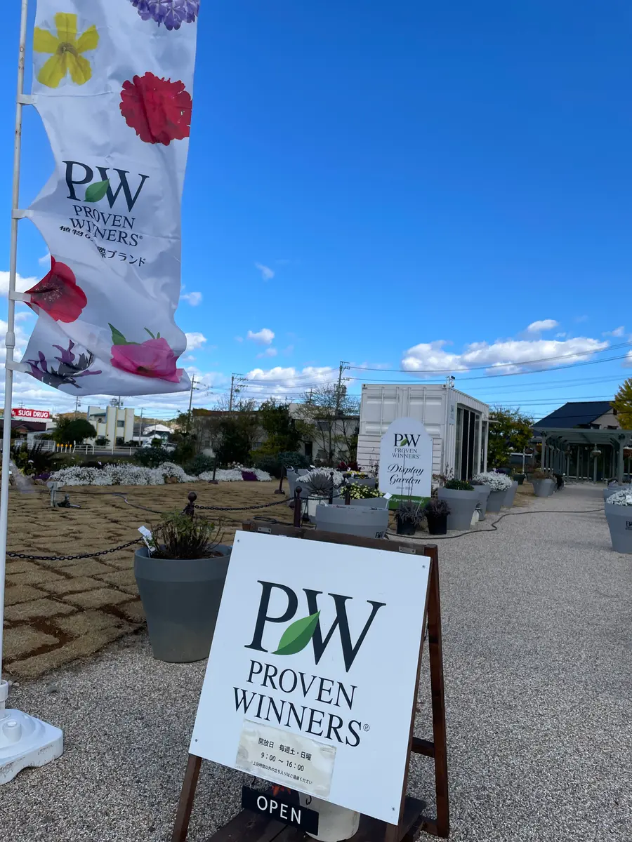 初めて購入したPW商品を苗から育てる②〜アナベル編〜｜そだレポ（栽培
