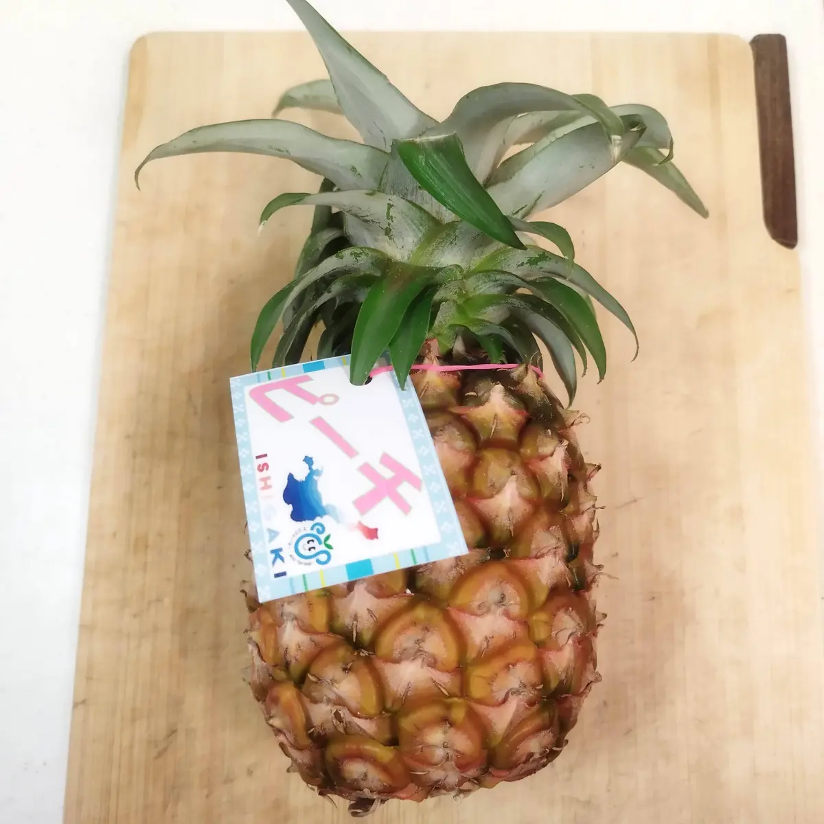 リボベジ パイナップル 3年後の収穫出来るか？⑥ピーチ 石垣島出身