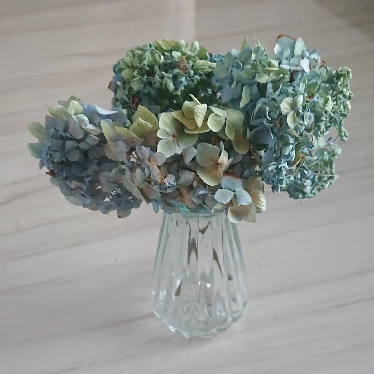 s*n様 アジサイ 霧島の恵 4寸8鉢 紫陽花 秋色アジサイ s