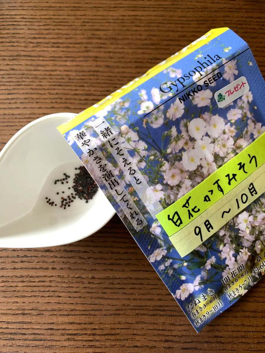 かすみ草ページ２ 生花】カスミ草 2Lサイズ(ペールスターなど)【OT】 - 花材通販はなどん