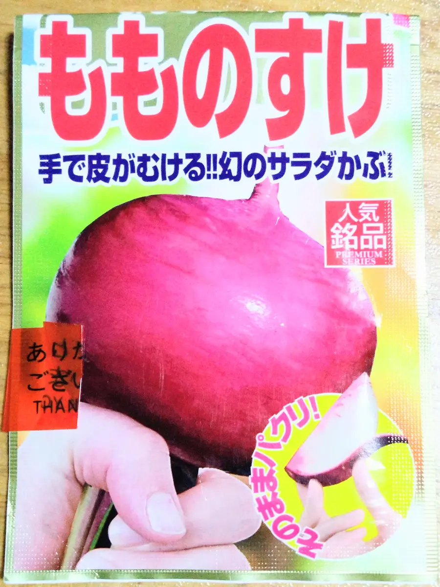 ❎もものすけをスポンジとバーミキュライトで水耕栽培|そだレポ ❎もものすけをスポンジとバーミキュライトで水耕栽培|そだレポ
