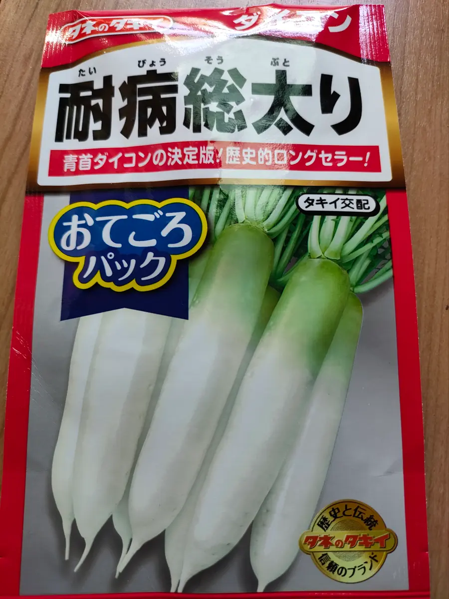 大根をタネから育てる|そだレポ(栽培レポート)byいちごらっぱ|みんなの趣味の園芸