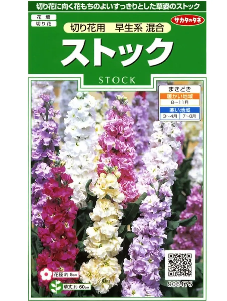 シンビジューム切り花 ストック ストック - 【公式】JA高知県 ｜県産品