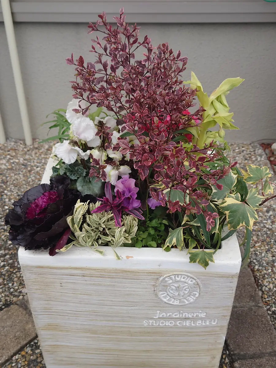 赤と白の花模様 深鉢 赤と白の花模様 深鉢 楽天市場】赤 花 皿の通販