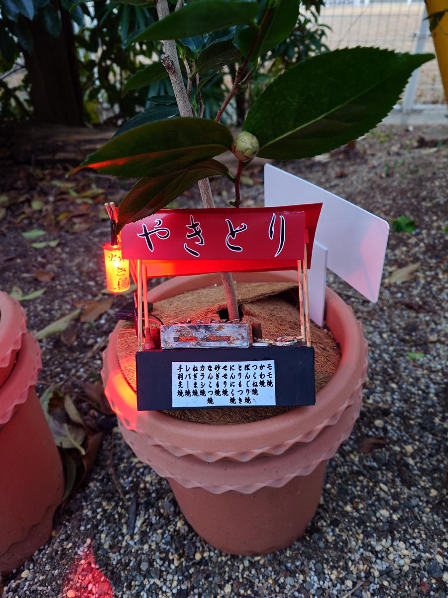 椿をゆるーく栽培するだけ｜そだレポ（栽培レポート）by鉢植え100 
