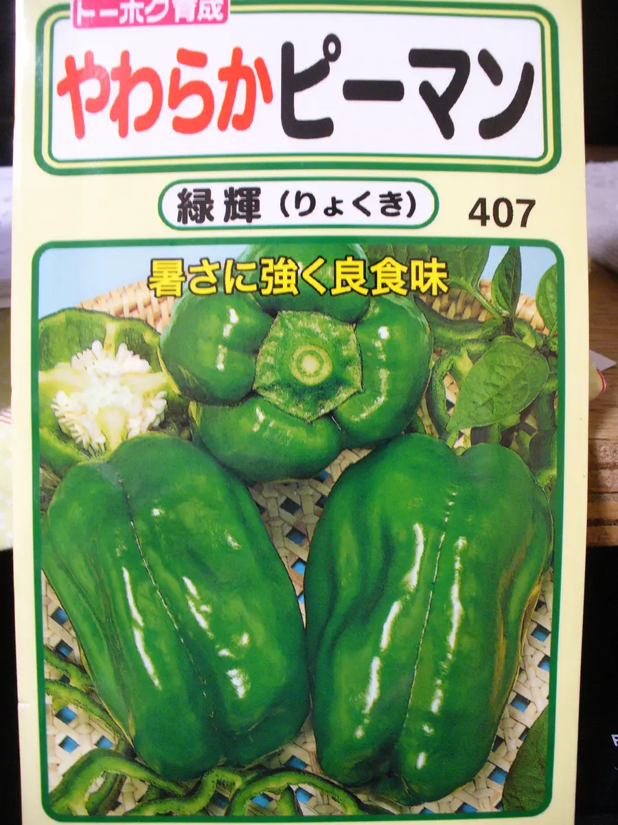 ピーマン ピーマン - JA堺市（堺市農業協同組合）